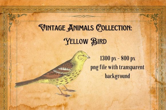 Charming Vintage Yellow Bird Illustration for Creative Projects