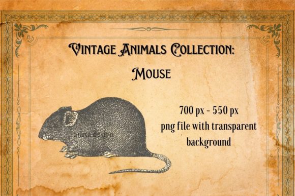 Rediscovering Charm with a Vintage Mouse Illustration