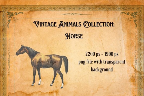 Reviving History: The Timeless Appeal of Vintage Horse Illustration