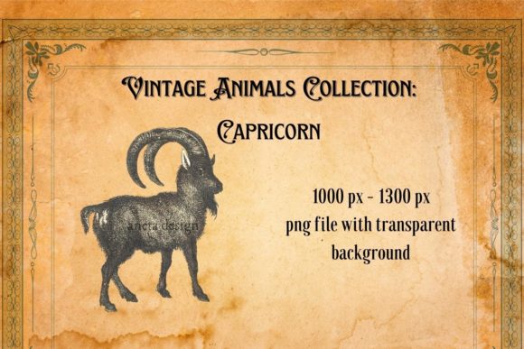 The Timeless Charm of Vintage Capricorn Illustration