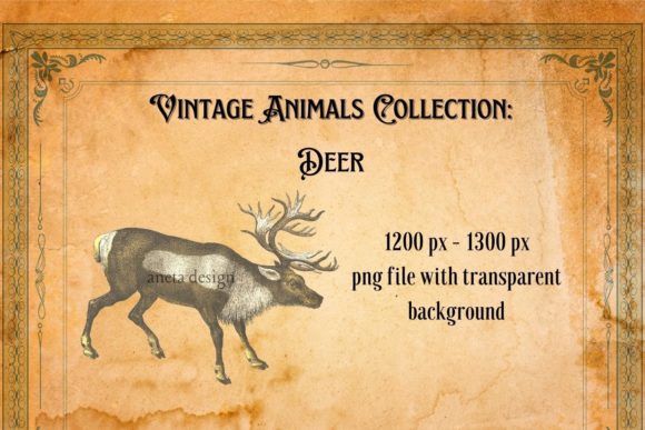 Timeless Charm: Using Vintage Illustration of Deer in Your Work