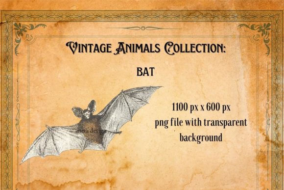 Vintage Bat Illustration: A Nostalgic Design Asset