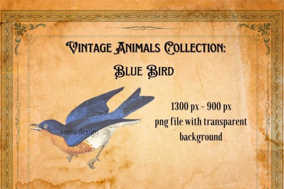 Vintage Blue Bird Illustration: A Timeless Design Asset