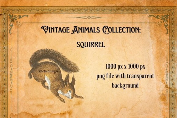 Vintage Squirrel Illustration: A Whimsical Design Asset